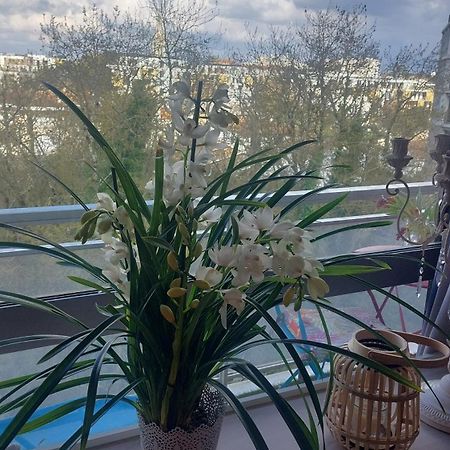 Chambre Chez L'Habitante Avec Salle De Bain Et Cuisine Communes - Presence D'Un Chat Bordeaux Ngoại thất bức ảnh
