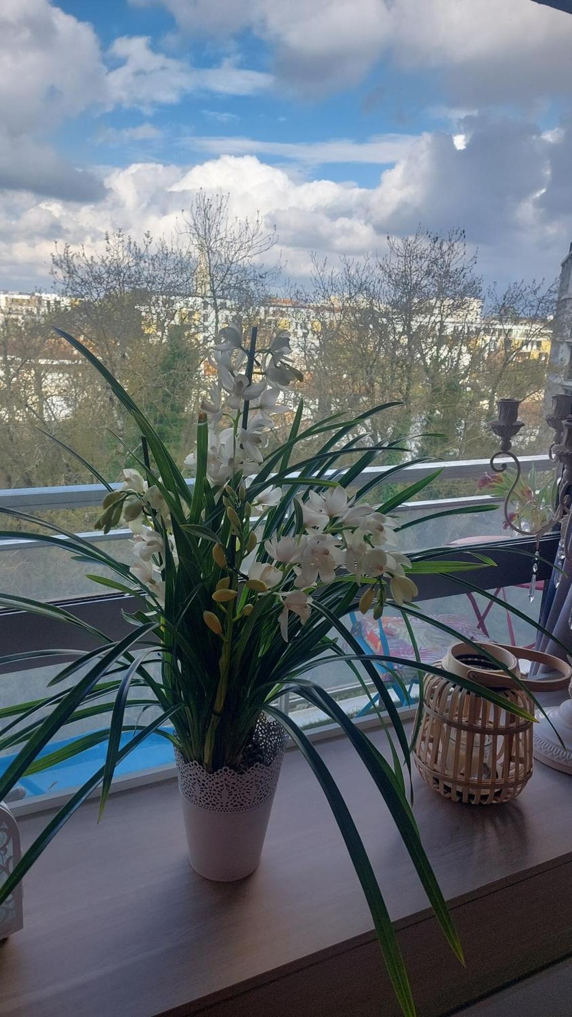 Chambre Chez L'Habitante Avec Salle De Bain Et Cuisine Communes - Presence D'Un Chat Bordeaux Ngoại thất bức ảnh